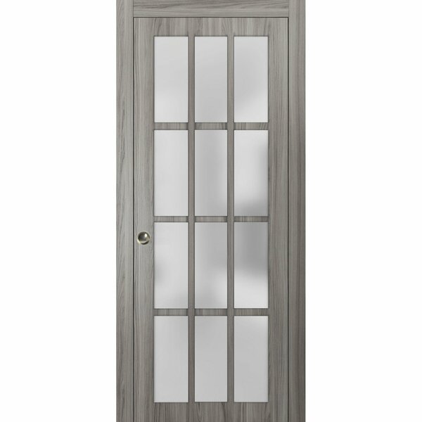 SARTODOORS Felicia Frosted Glass Sliding Closet Door | Wayfair