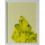 Rock Formations 2 Print by THE Studio-47362520