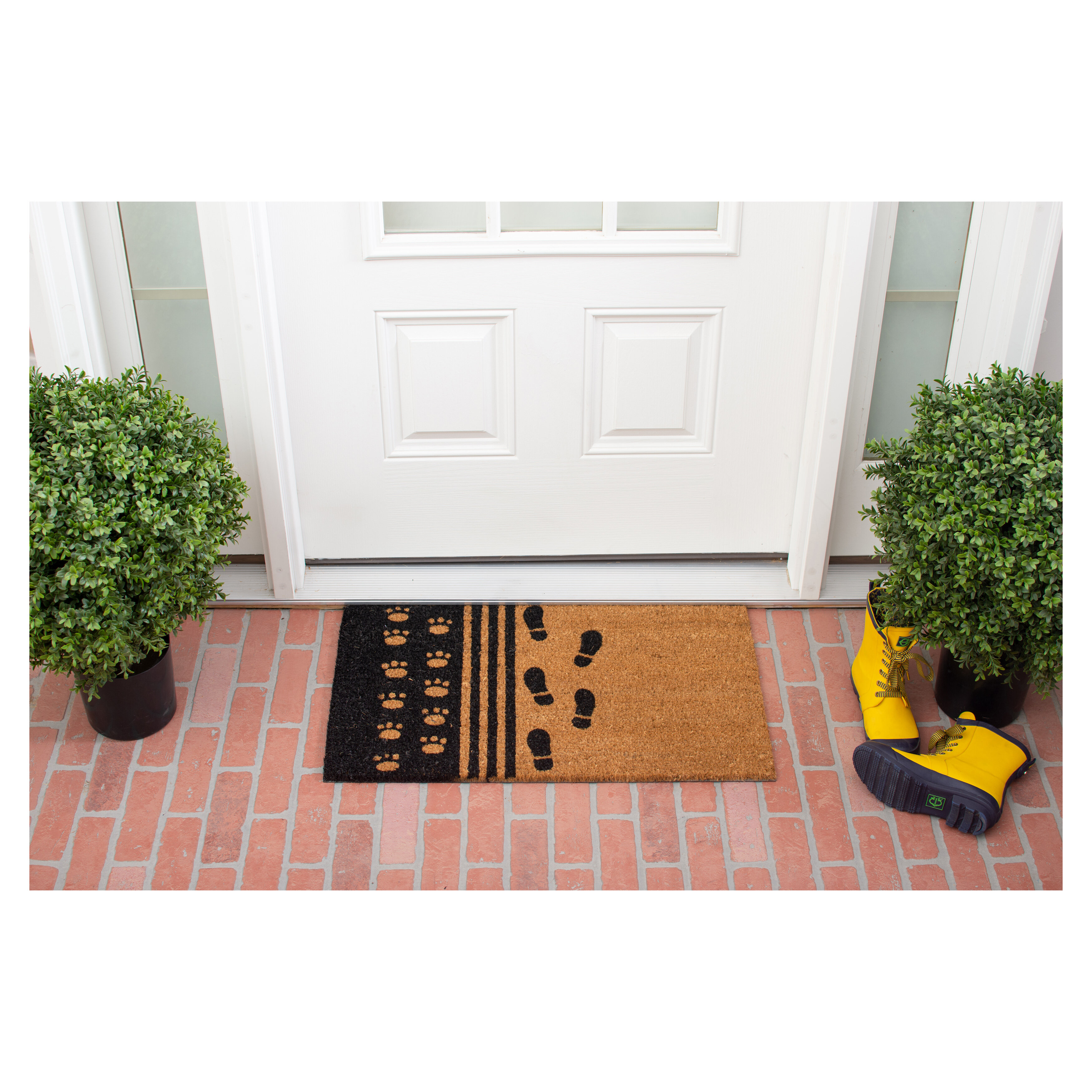 https://assets.wfcdn.com/im/81778407/compr-r85/1463/146384159/hollis-mans-best-friend-29-in-x-17-in-non-slip-outdoor-door-mat.jpg