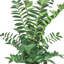 Zamiifolia ZZ artificiel en pot