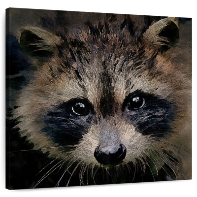 Racoon