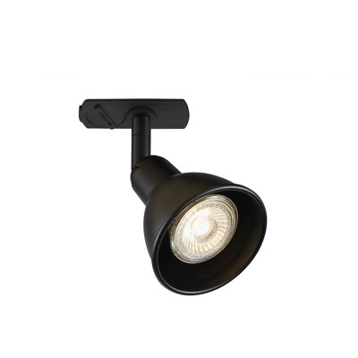 Analuisa Spot Track Head