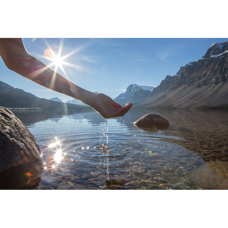 Human Hand Cupped by Swissmediavision - No Frame Art Prints on Canvas, 61cm H x 91cm W