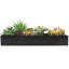 Fausse plante en pot Benita 6,29 po