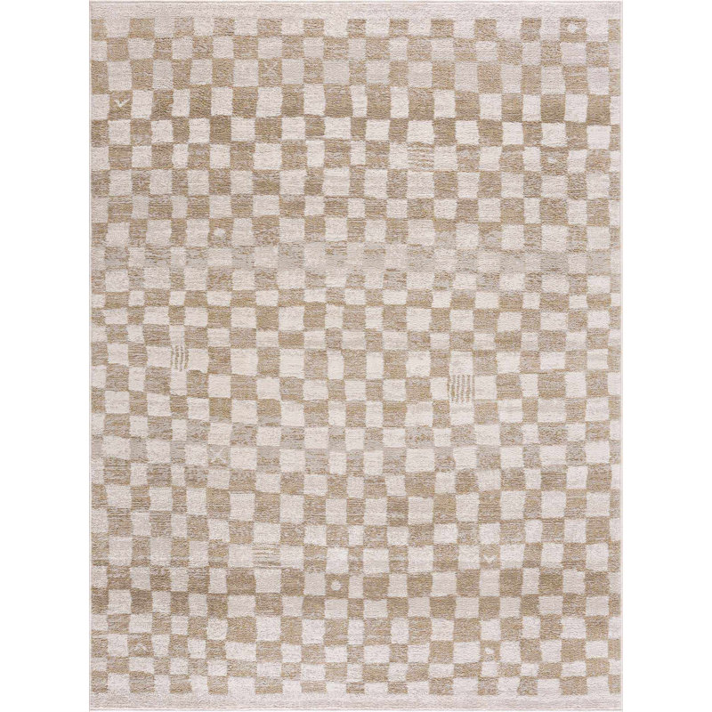 Jasha Checkered Beige/Brown Area Rug, Rectangle 2'7" x 4'