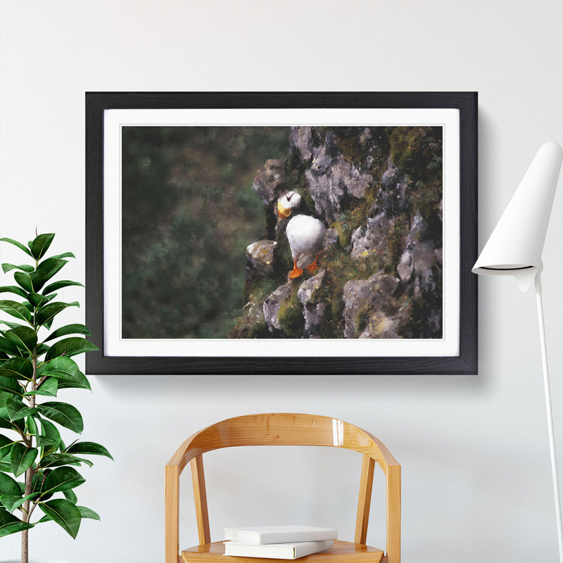 Atlantic Puffin Birds Vol.1 - Picture Frame Painting, Black Framed, 27cm H x 36cm W x 2cm D