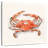 Yarlin Crusty Crab II-109227034
