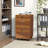 Daraly 15.75'' Wide 2 -Drawer Mobile File Cabinet