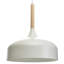 Taylor 1 - Light Dome Pendant-98627064