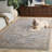 Miranda 300 Performance Oriental Rug-1660685964
