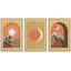 Bohemian-style Plants " Boho Mid-Century Crescent Moon Mountain Sun Desert Abstract Illustrations Modern Art Landscape " 3 - Pieces-98696478-98696481