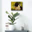 «Border Collie Garden» par John Silver-1456637451