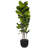 72" Green Artificial UV Potted Fiddle Leaf Plant