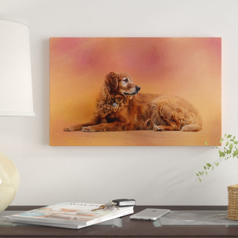 «Golden Retriever in the Sunset», reproduction d'impression sur toile tendue, 16 po x 24 po