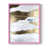 Pink selected