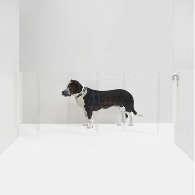 Barrière murale haute pour animaux Zig Zag 
