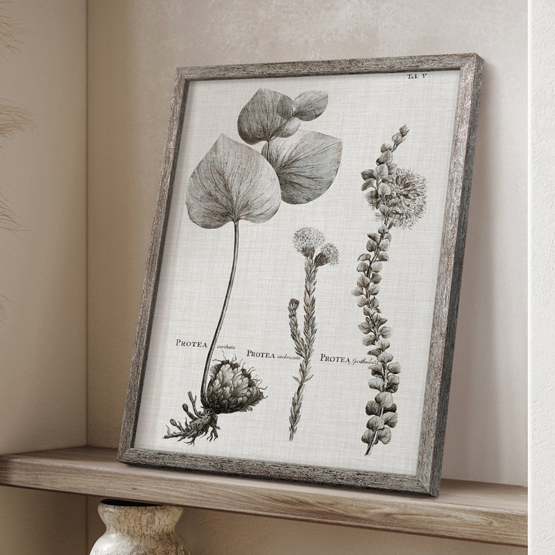 «Black & White Protea on Linen II», reproduction encadrée - bois massif, H 11 po x l 9 po