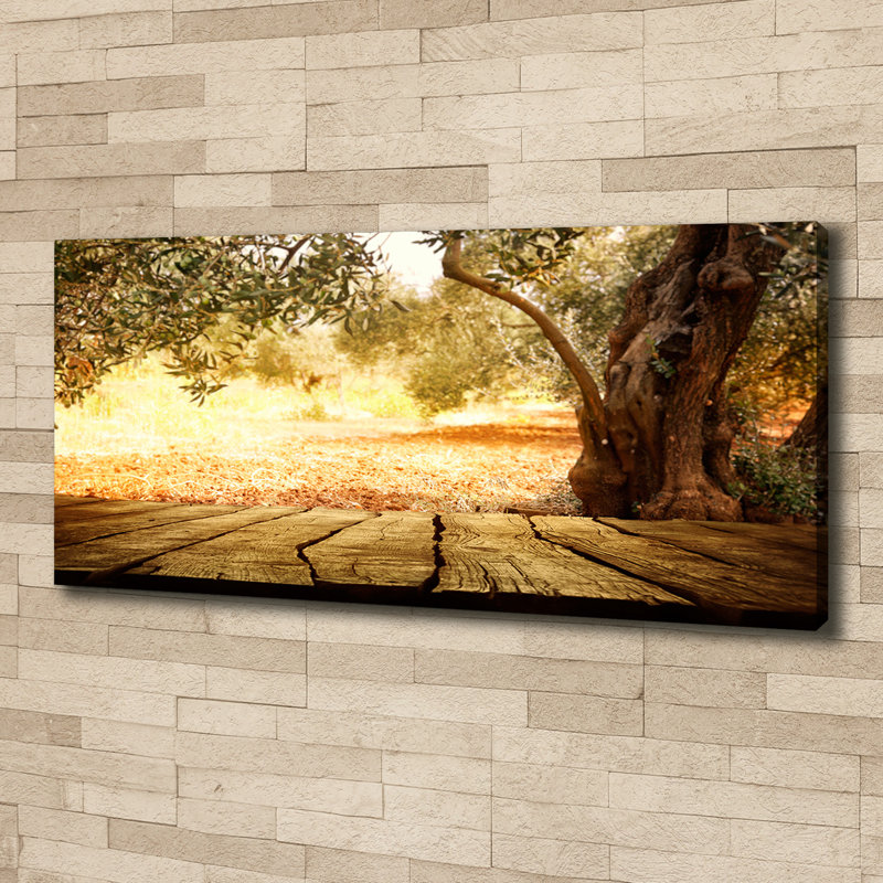 Olive Tree - Wrapped Canvas Print