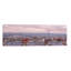 Paris I by Assaf Frank - No Frame Panoramic Print-1452919335