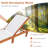 Chrishad Outdoor Eucalyptus Wood Chaise Lounge