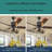 Abelina 52'' Ceiling Fan