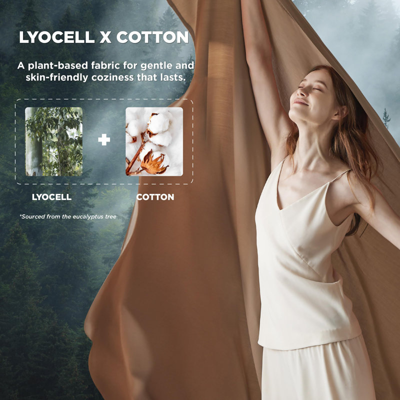 Ensemble de draps en coton et eucalyptus, Ensemble de drap grand avec un drap-housse et deux, Taupe