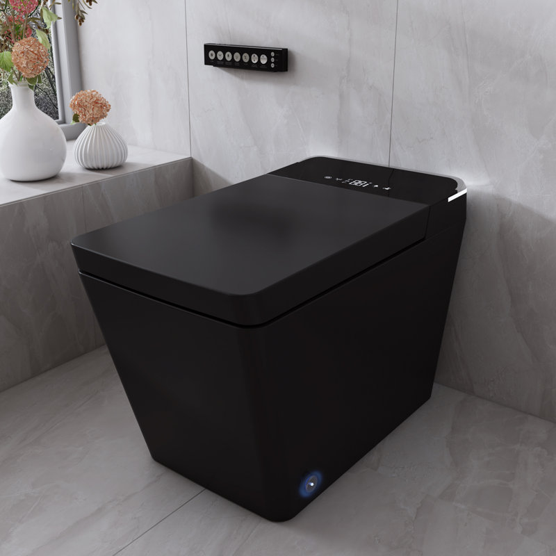 T2505-MG Smart Toilet, Square Seat Toilet with Cleaning Mode & Warm Air Dryer, Matte Black