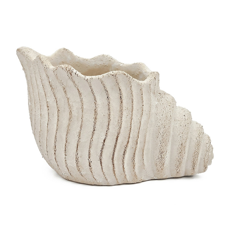 11.5X7x7 Inches Sand And Cement Shell Planter For Rustic Home Decor With Herbs Trailing Plants