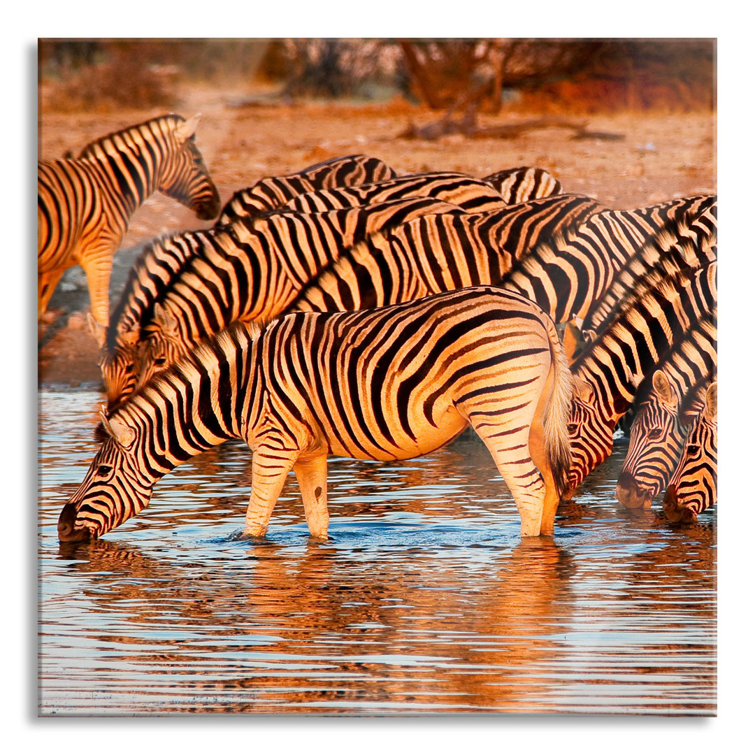 Ungerahmtes Foto auf Glas "Zebra-Herde am Wasserloch"