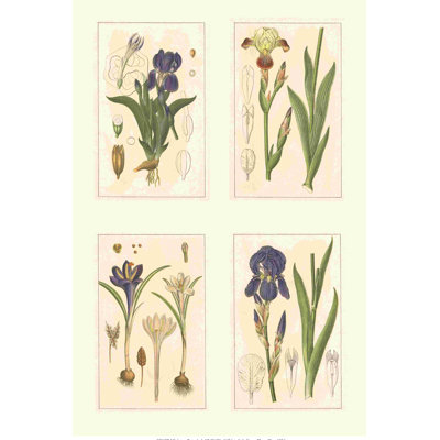Miniature Botanicals I