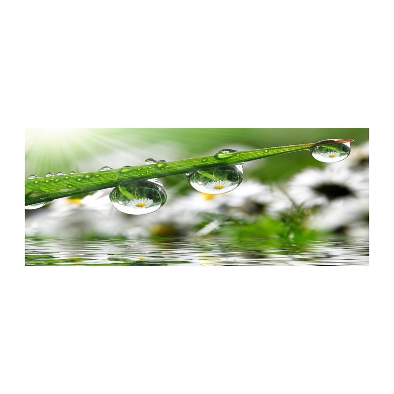 Drops On The Grass - No Frame Print on Canvas