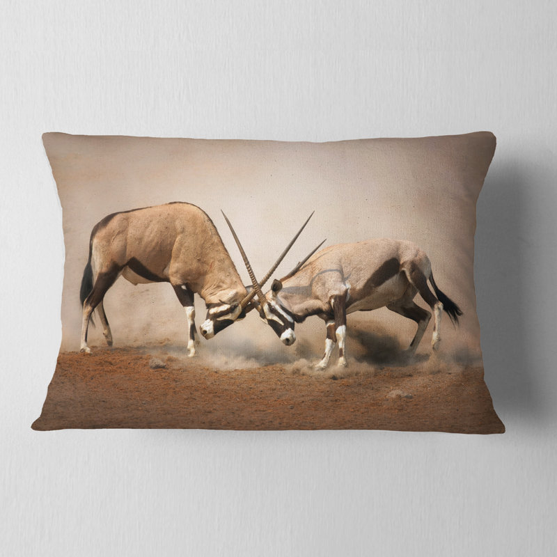 Coussin lombaire gemsbok antelopes combat wall