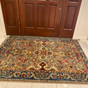 World Menagerie Bisen Performance Oriental Rug & Reviews | Wayfair