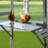 Eather Chicken Run-405637229-405637231