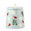 10 pots de fleurs 10 Strawberry Street