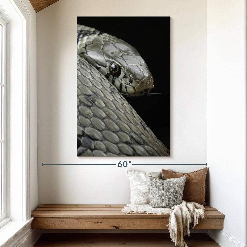 Brampt Necklace Snake, 51" H x 34" W