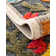 Bungalow Rose Oualida Caimin Rug