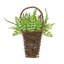 Panier mural 20 po Astilbe and Fern