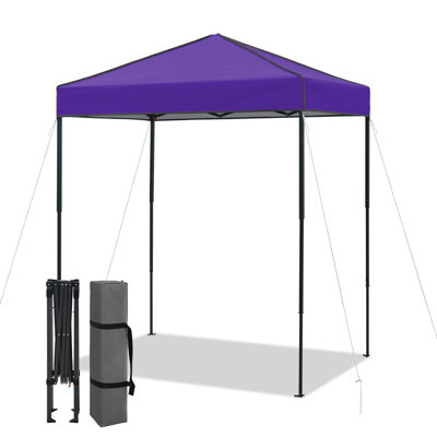 Tente d'auvent 6 x 4, auvent escamotable robuste avec sac de transport