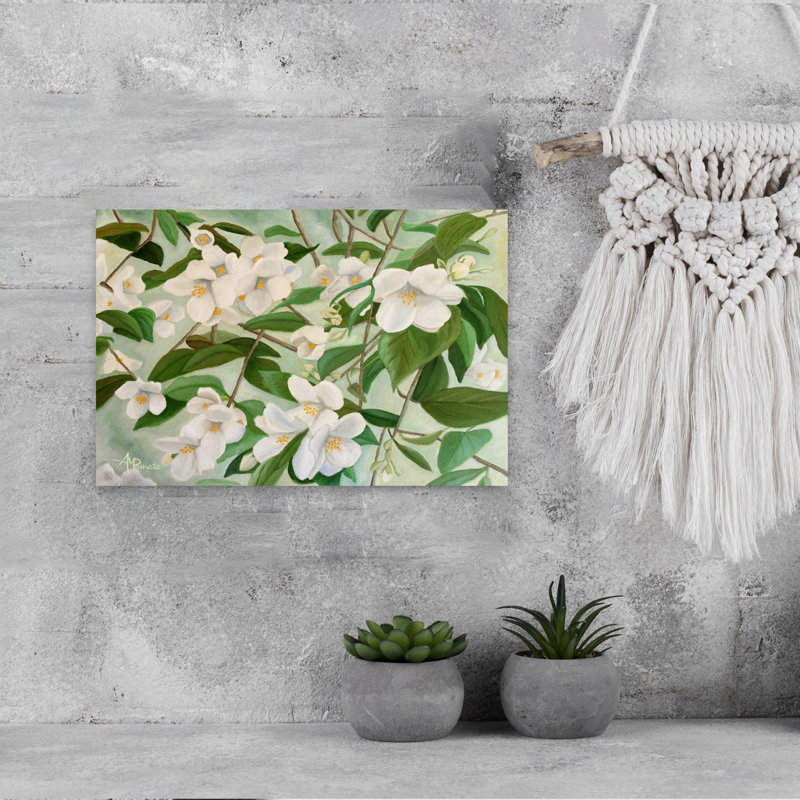 White Jasmine Blooms by Angeles M. Pomata - Wrapped Canvas Print, 45.72 cm H x 30.48 cm W