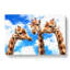Three Giraffes In Abstract - Wrapped Canvas-55358533