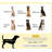Pet Bed,Elevated Portable Dog Cot