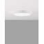 Dequavius LED Flush Mount