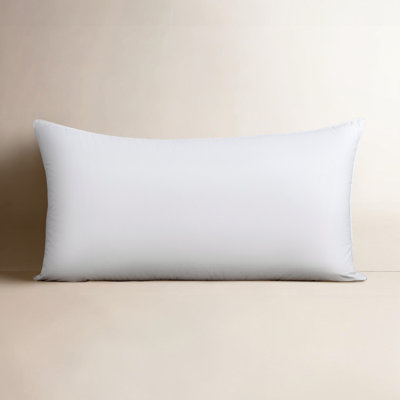 Terron Firm Down Pillow