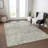 Machine Washable Indoor/Outdoor Xhevrie Pewter Rug-544666682