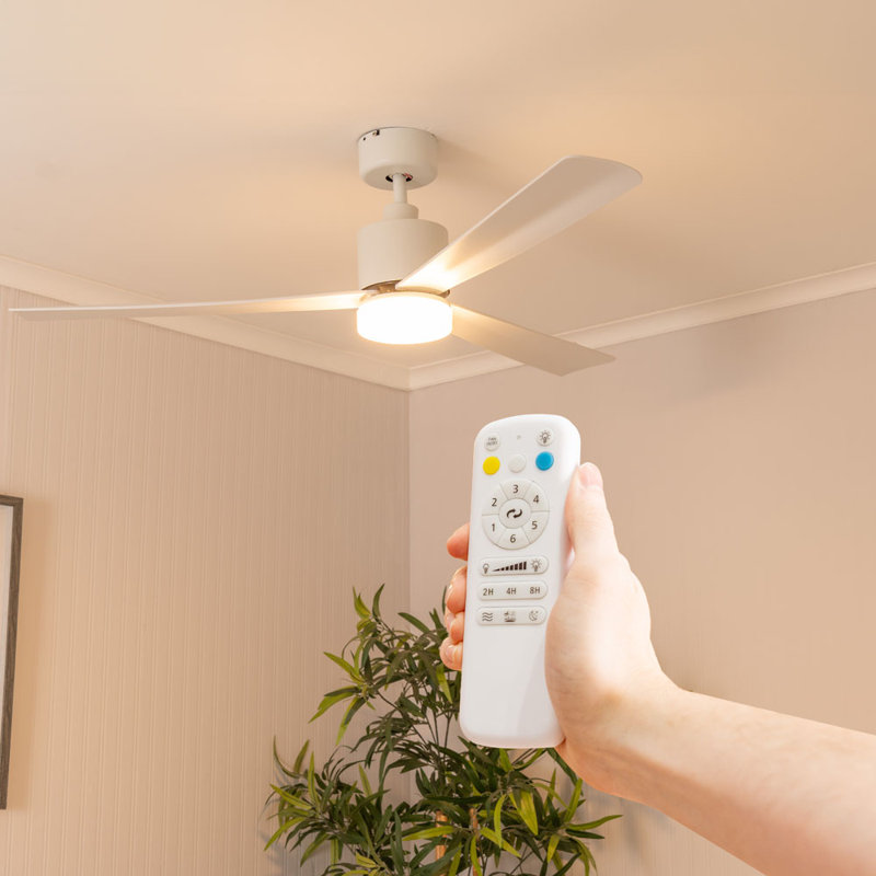 Okun 52cm Ceiling Fan with LED Lights