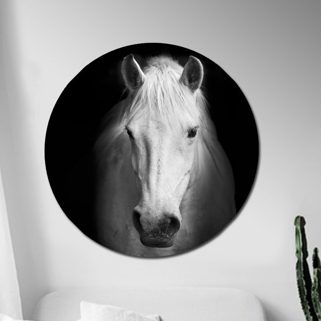Curious White Horse Print, 46" H x 46" W x 1.5" D