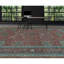 Wool Oriental Area Rug