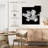 Arney Silver Lily Flower