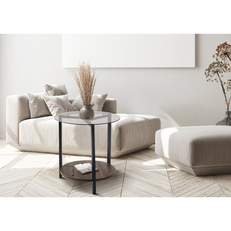 Aleysa Floor Shelf Coffee Table with Glass Top and with Storage